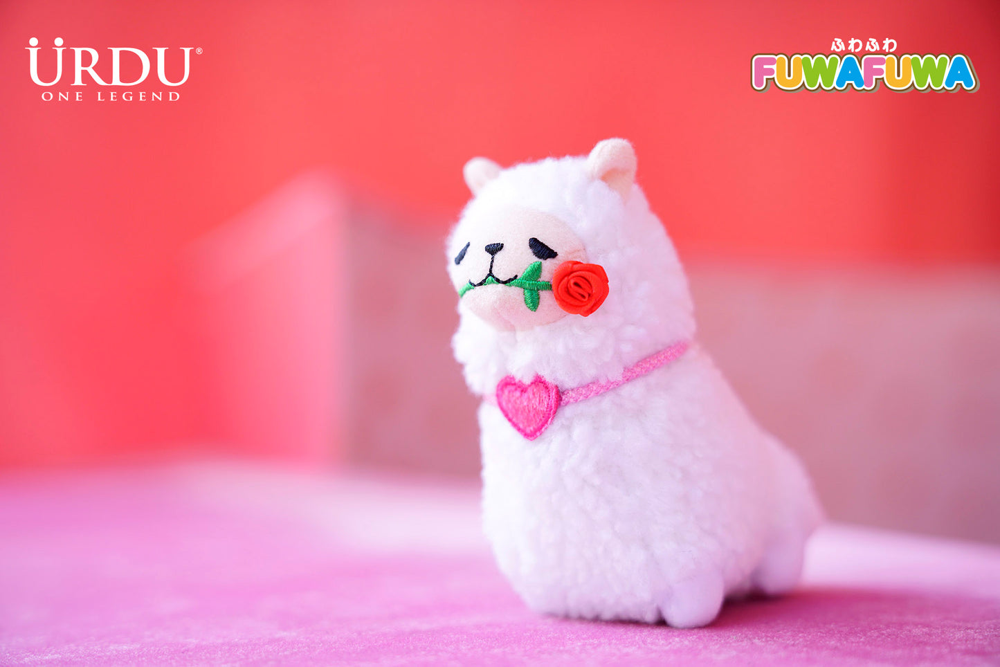 URDU FUWAFUWA - Valentine (Small Version)